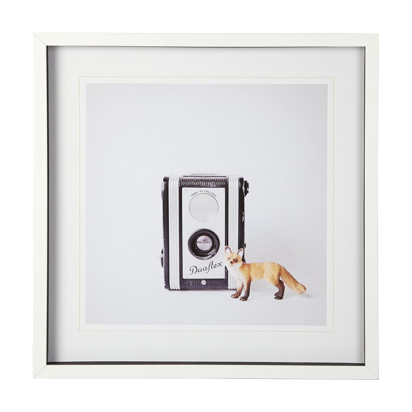 Camera Art, 25x25