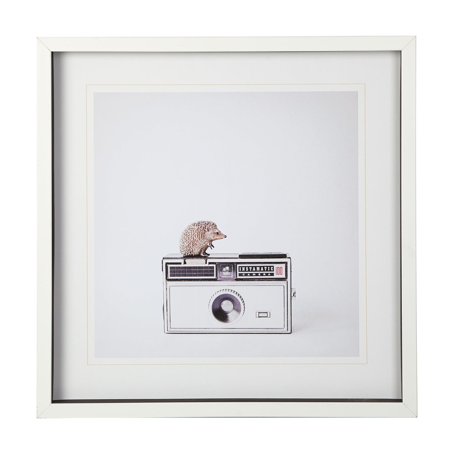 Camera Art, 25x25