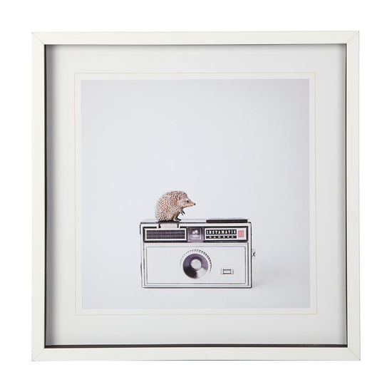 Camera Art, 25x25